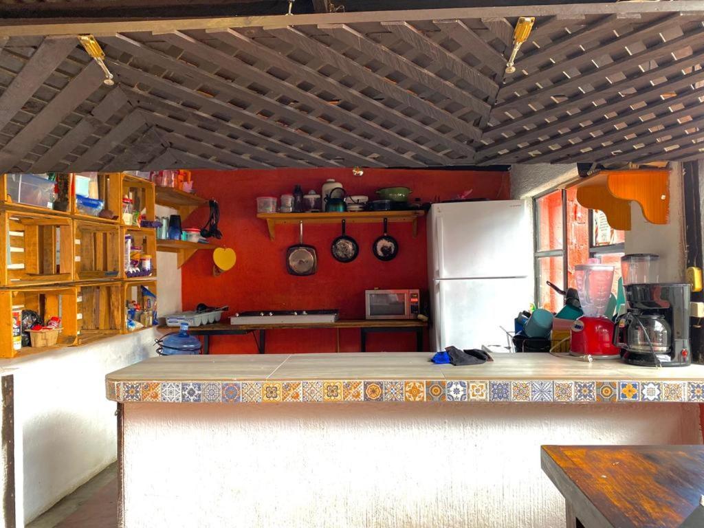 Berlin61 Otel San Cristóbal de Las Casas Dış mekan fotoğraf