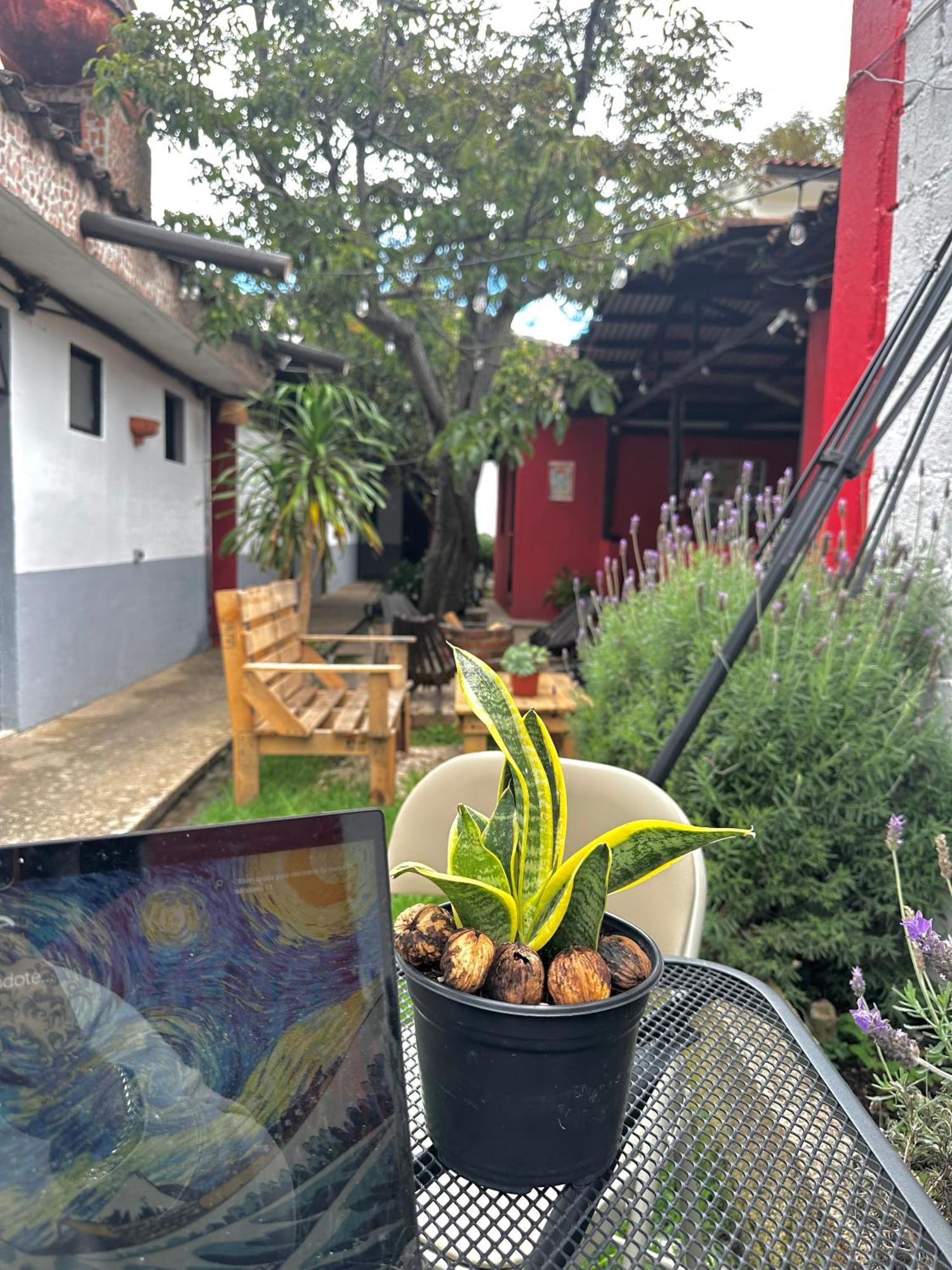 Berlin61 Otel San Cristóbal de Las Casas Dış mekan fotoğraf
