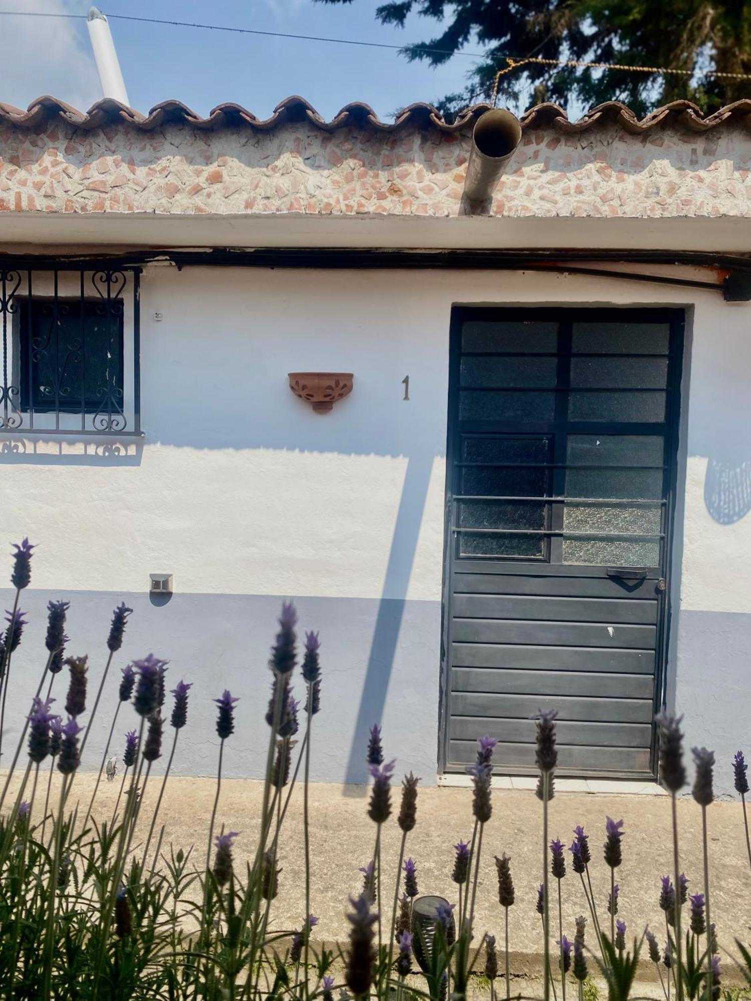 Berlin61 Otel San Cristóbal de Las Casas Dış mekan fotoğraf